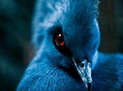 Наталья Юрай